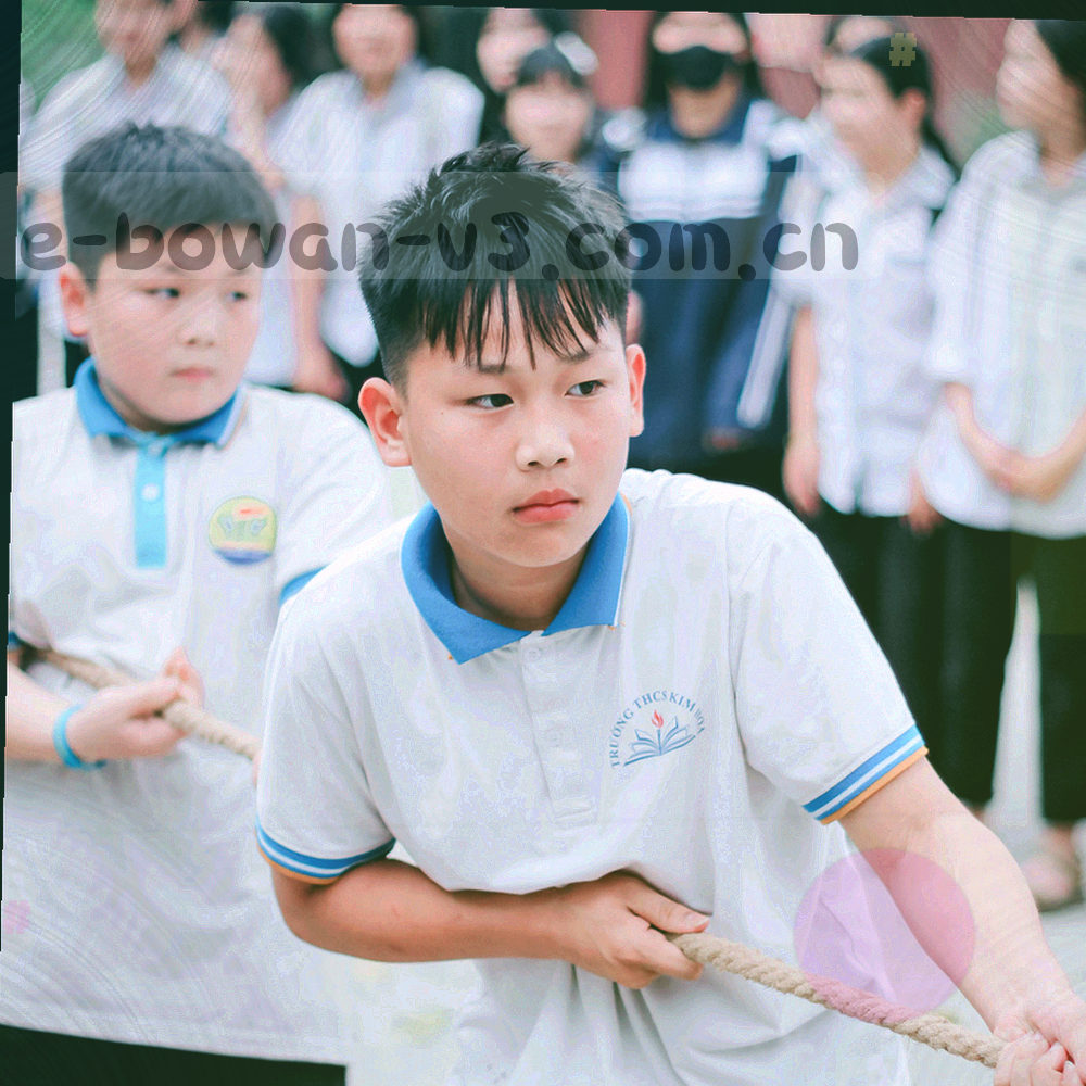 控球率环形与十二项技术统计条的数据可视化图形，深底亮色